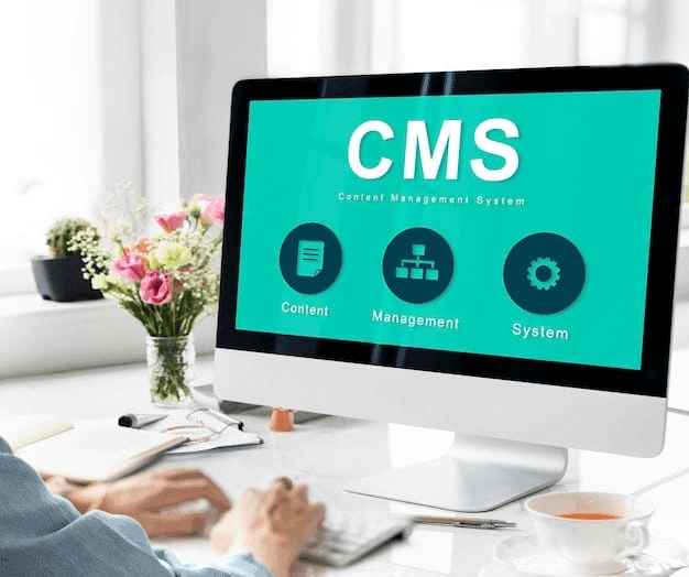 Professional WordPress development services showcasing custom website design, responsive layouts, and feature-rich solutions.